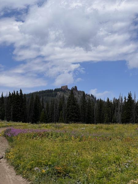 Read more about the article Rabbit Ears Pass: What You Should Know – Steamboat Springs, Colorado