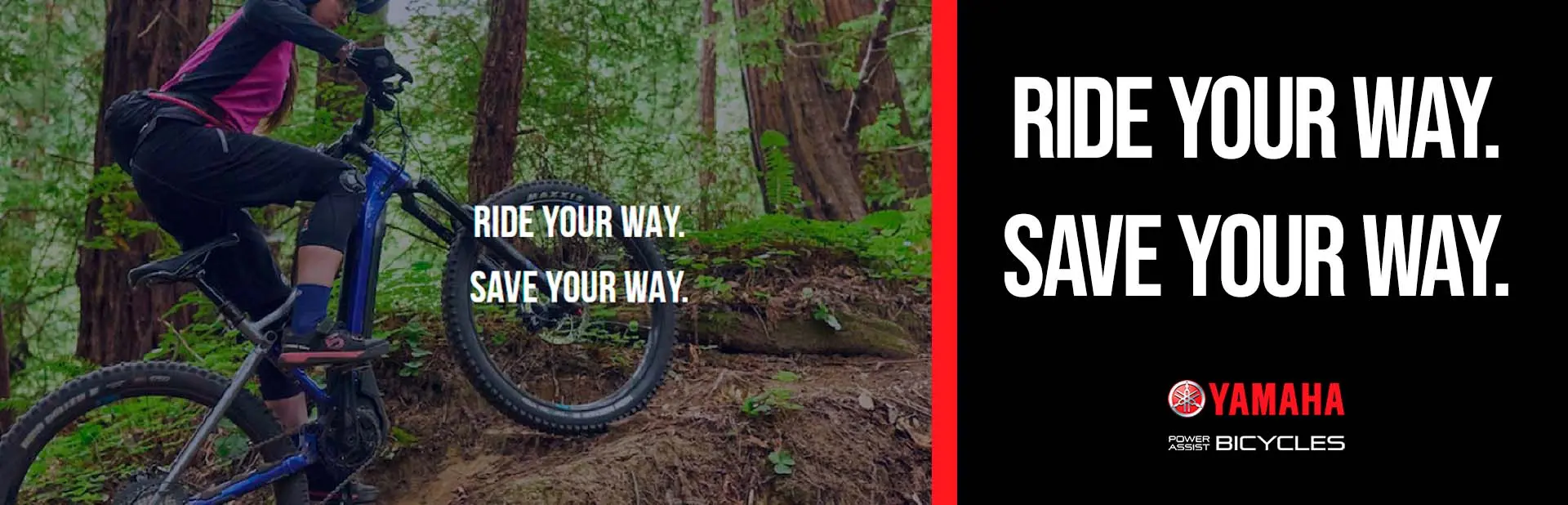 Read more about the article Get more cash back!