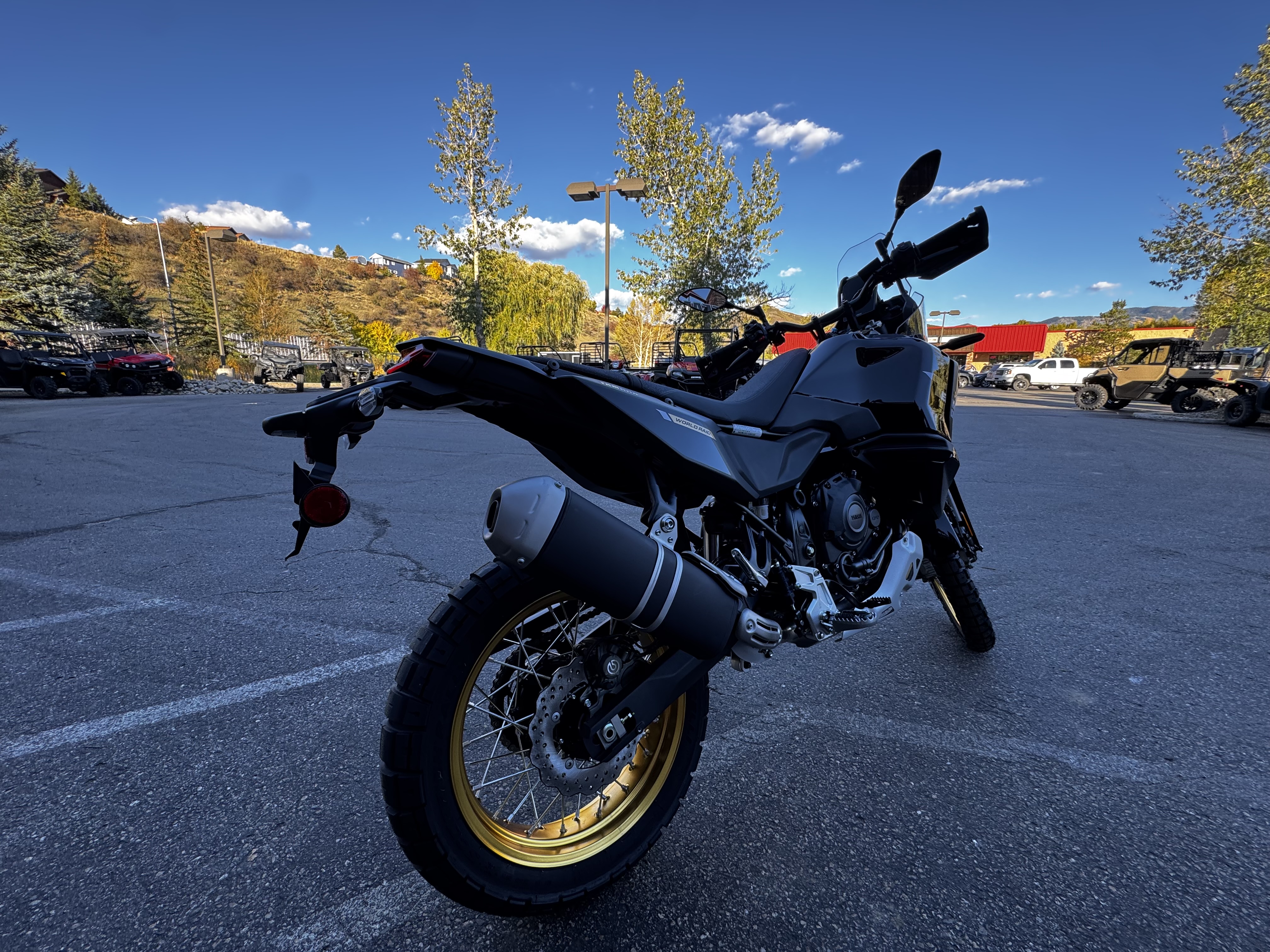 2026 Yamaha TÉNÉRÉ 700 WORLD RAID Motorcycle