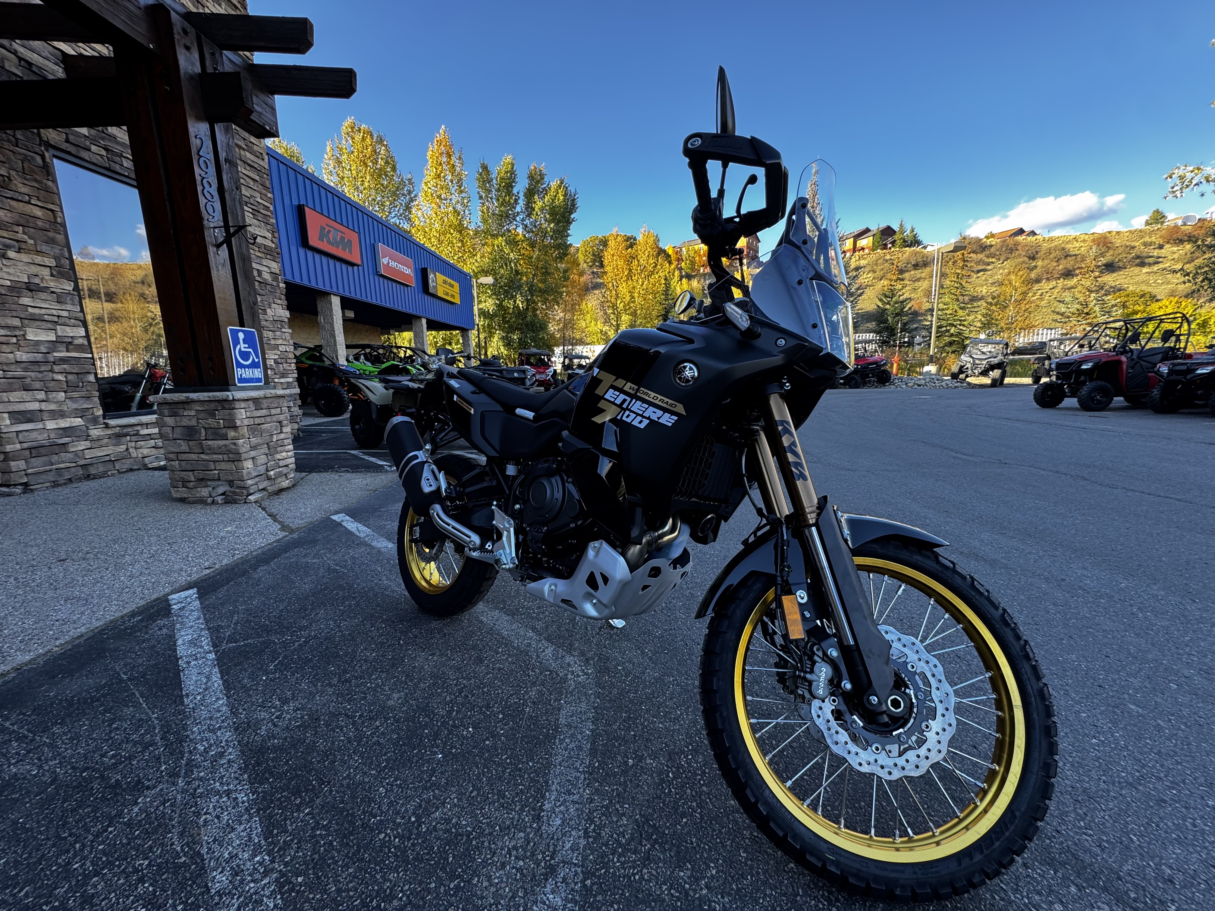 2026 Yamaha TÉNÉRÉ 700 WORLD RAID Motorcycle