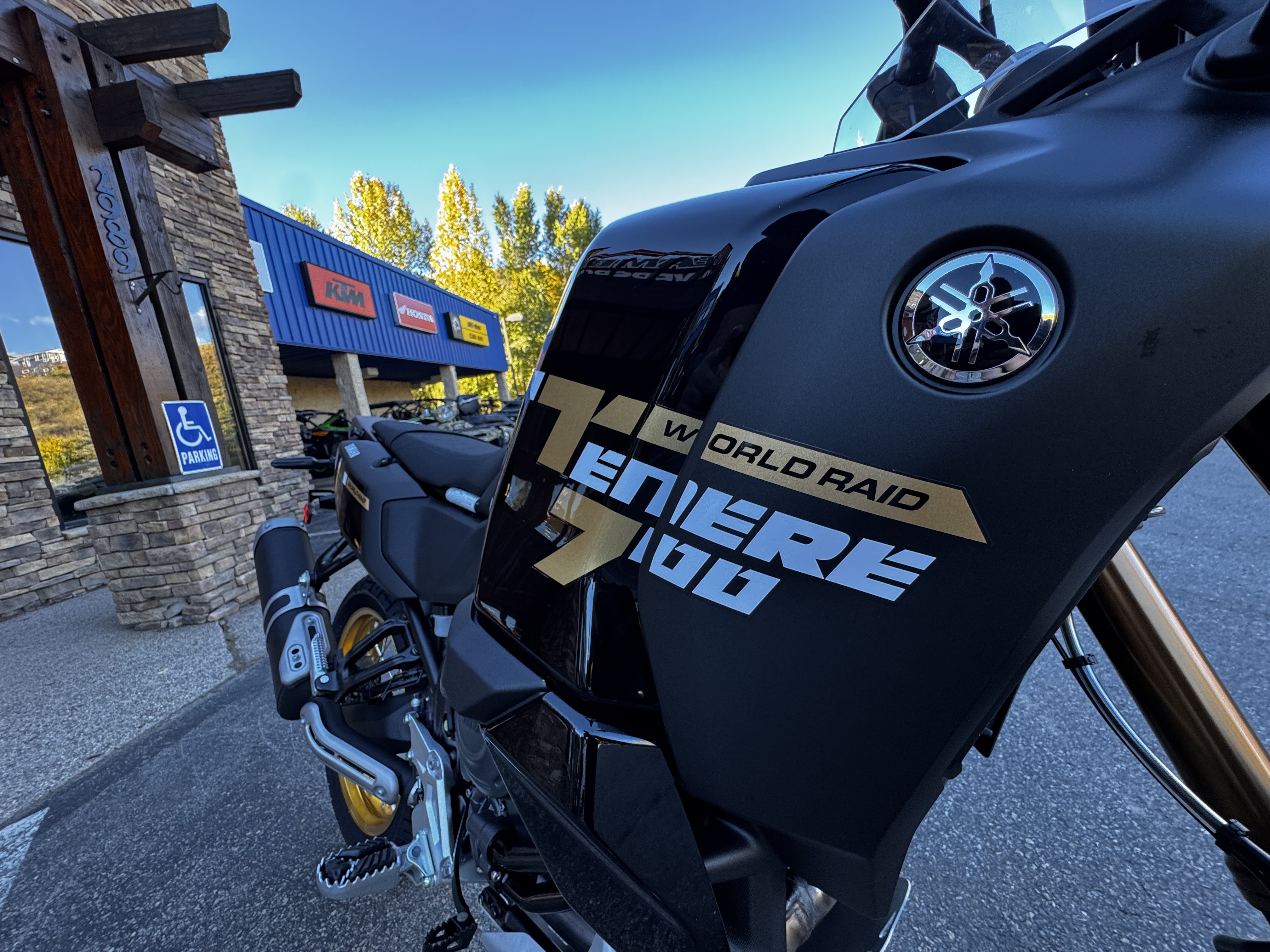 2026 Yamaha TÉNÉRÉ 700 WORLD RAID Motorcycle